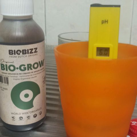 Sweet ZZ growlog timeline photo