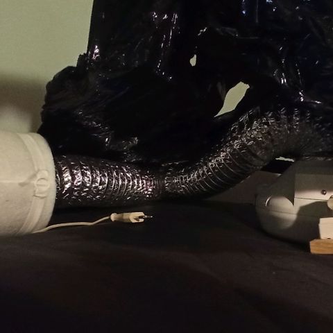 Sweet ZZ growlog photo: Setup 