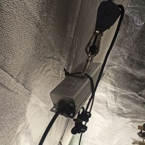 Sweet ZZ growlog photo: Setup 