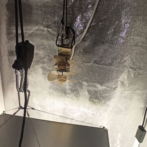 Sweet ZZ growlog photo: Setup 