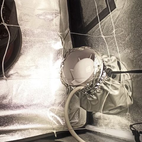 Sweet ZZ growlog photo: Setup 