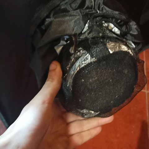 Sweet ZZ growlog photo: Setup 