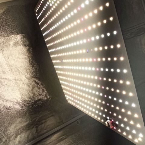 Sweet ZZ growlog photo: Setup 