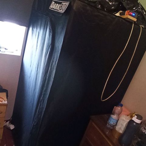 Sweet ZZ growlog photo: Setup 