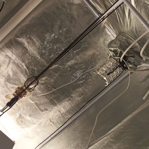 Sweet ZZ growlog photo: Setup 