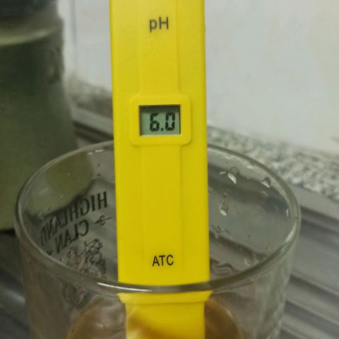 Sweet ZZ growlog photo: Rega com nutrientes.
