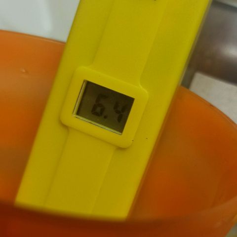 Sweet ZZ growlog timeline photo