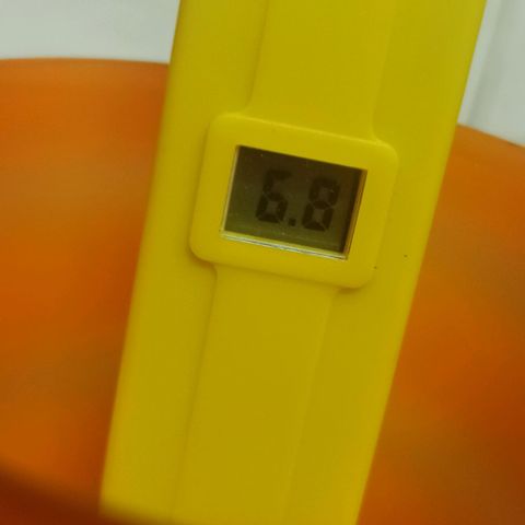 Sweet ZZ growlog timeline photo