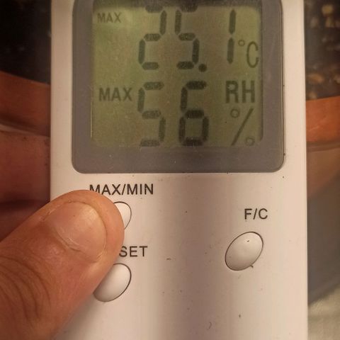 Sweet ZZ growlog photo: Temp. Entre 23/25°c
HR: entre 40/60
Poda ligeira de folhas para permitir mais penetração de luz