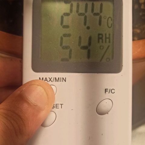 Sweet ZZ growlog photo: Temp. Entre 23/25°c
HR: entre 40/60
Poda ligeira de folhas para permitir mais penetração de luz