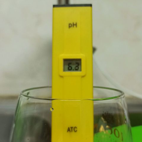 Sweet ZZ growlog timeline photo