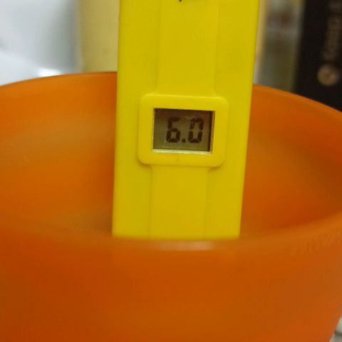 Sweet ZZ growlog timeline photo