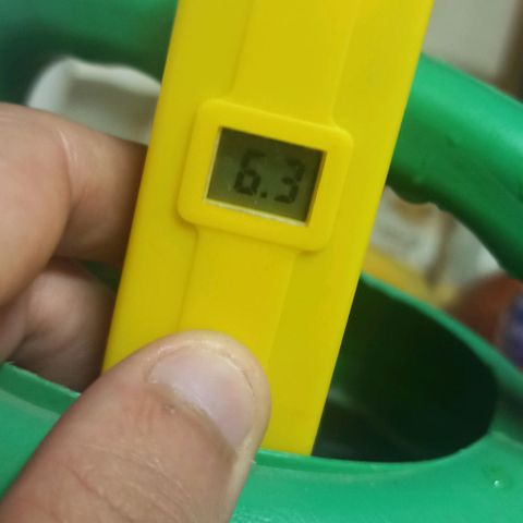 Sweet ZZ growlog photo: Poda de algumas folhas lança na tentativa de maior penetração de luz e de menor % de HR
