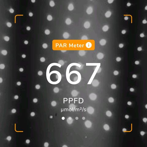 Sweet ZZ growlog timeline photo