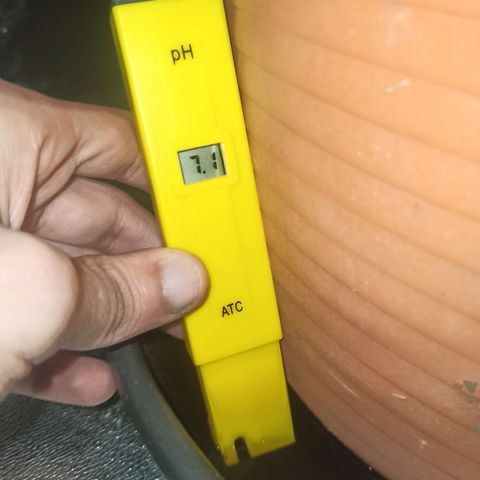 Sweet ZZ growlog timeline photo