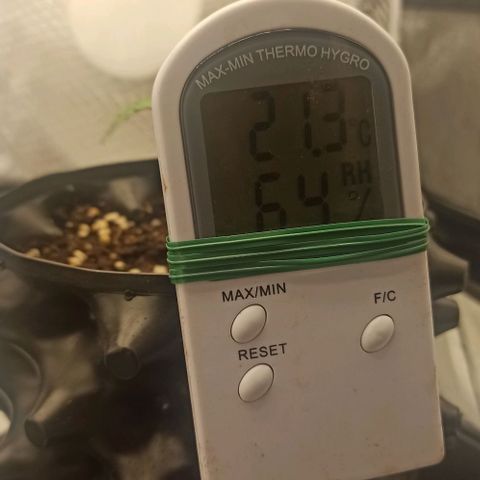 Sweet ZZ growlog timeline photo