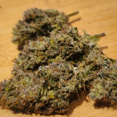 OG Cheese growlog timeline photo