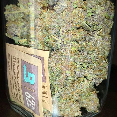 Lemon Cherry Cookies growlog timeline photo