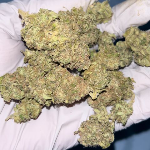 Bubba Kush growlog timeline photo