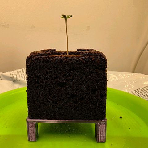Planet of the Grapes RBX growlog photo: Designed and printed a small base to start air pruning for the eazy block. 