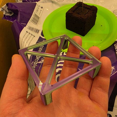 Planet of the Grapes RBX growlog photo: Designed and printed a small base to start air pruning for the eazy block. 