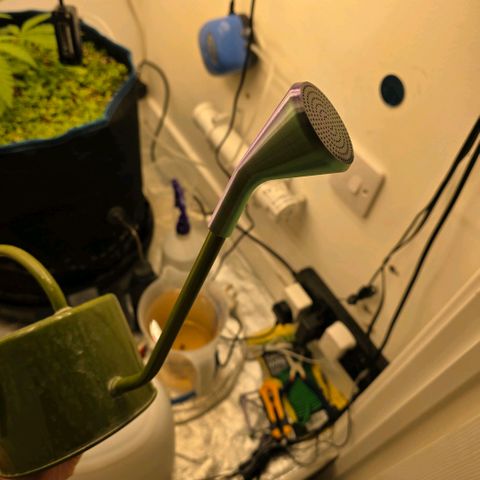 Planet of the Grapes RBX growlog photo: Sprout looks good and fit on perfectly however the holes must be too small to break the surface tension so I'll make the holes bigger.

Topped my baby, poor thing. Removed nodes 1 and 2 and chopped above 4 to keep 3 and 4
