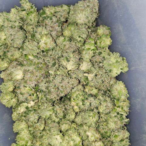 Amnesia lemon 1 growlog timeline photo