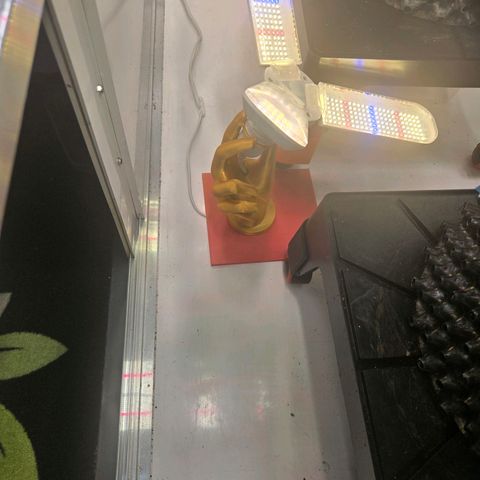 Apple Jack growlog timeline photo