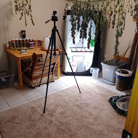 Esmarelda growlog timeline photo