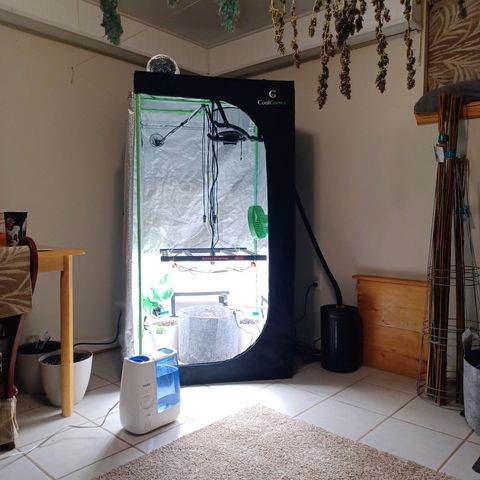 Esmarelda growlog timeline photo