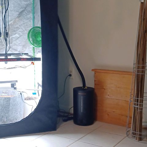 Esmarelda growlog timeline photo
