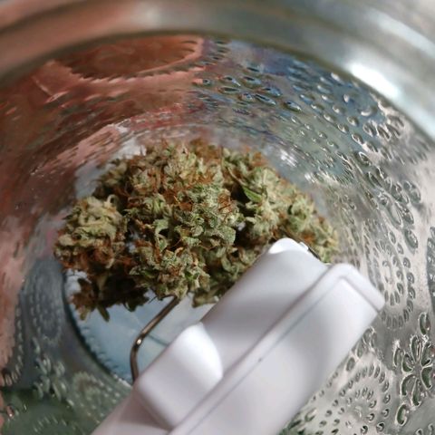 Gorilla Candy Auto growlog timeline photo