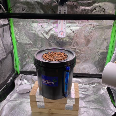 Barbenheimer  growlog timeline photo