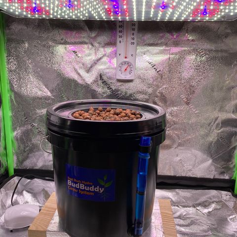 Barbenheimer  growlog timeline photo