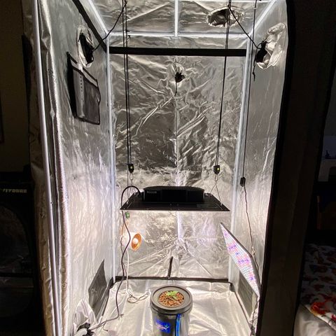 Barbenheimer  growlog timeline photo