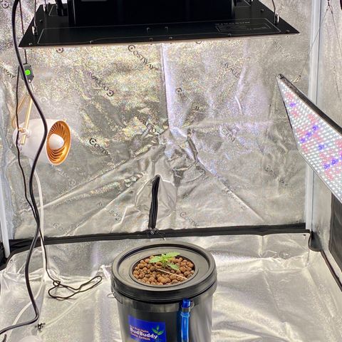 Barbenheimer  growlog timeline photo