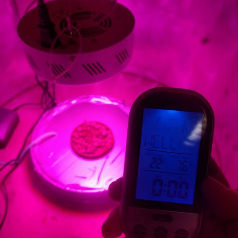 Rainbows growlog photo: Installeret i hydro-spand