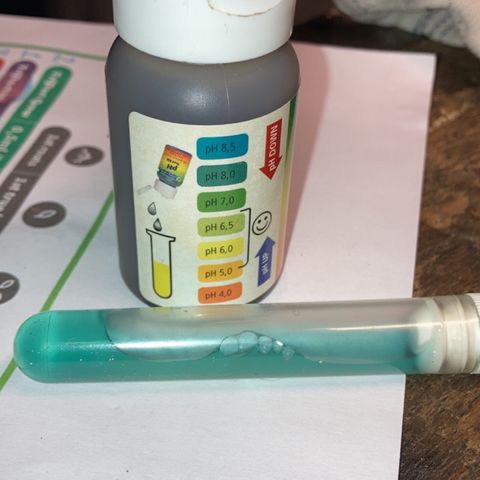 Rainbows growlog timeline photo