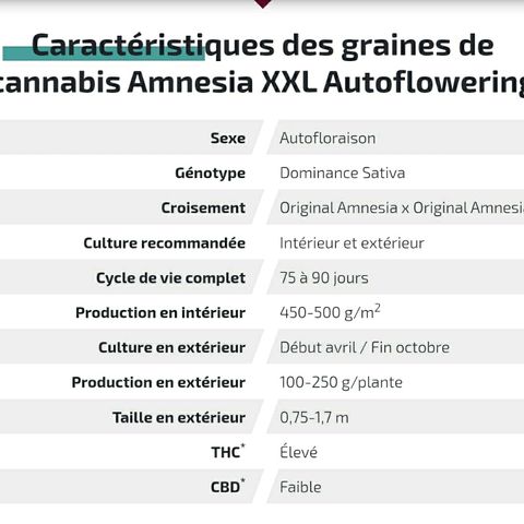 La nitt (amnesia XXL) growlog photo: Caractéristiques