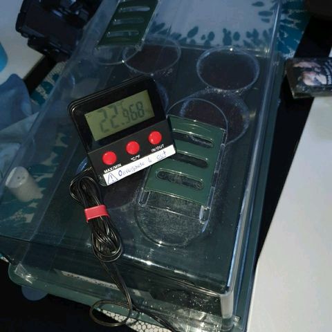 La nitt (amnesia XXL) growlog photo: Ça c'était, c'était au début, la on est plus a 98%. Ça falloir aérer demain...😱