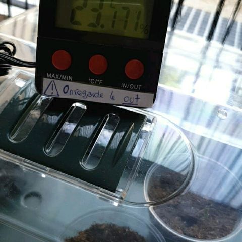 La nitt (amnesia XXL) growlog photo: C bon on a réussi a restabiliser 🤗