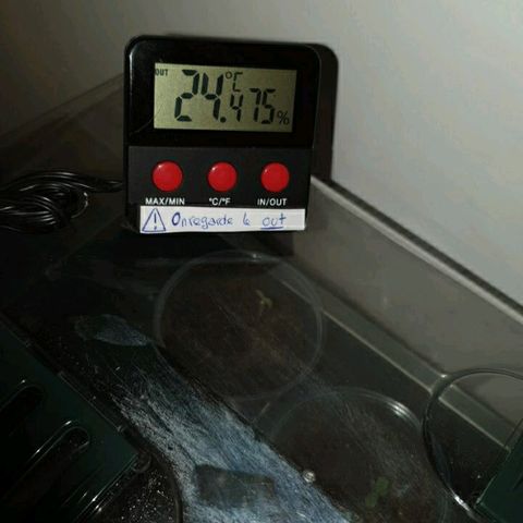 La nitt (amnesia XXL) growlog photo: Allez on se couche avec une belle done de climat