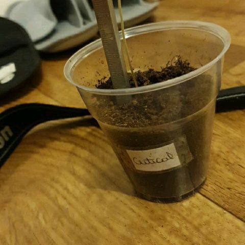 La nitt (amnesia XXL) growlog photo: Les autre vont bien😁