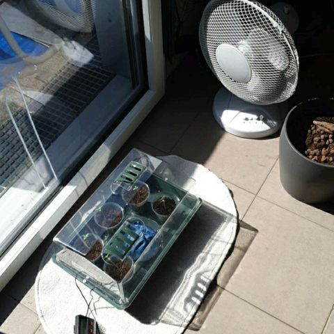La nitt (amnesia XXL) growlog photo: 10h58, bonjour le filles 😘😘