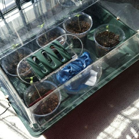 La nitt (amnesia XXL) growlog photo: 10h58, bonjour le filles 😘😘