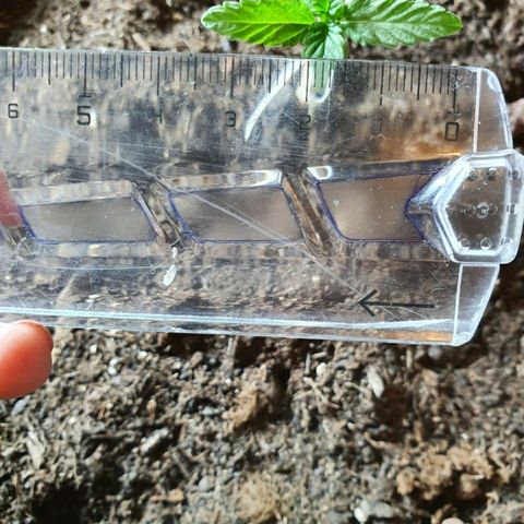 La nitt (amnesia XXL) growlog photo: La plus belle 😁