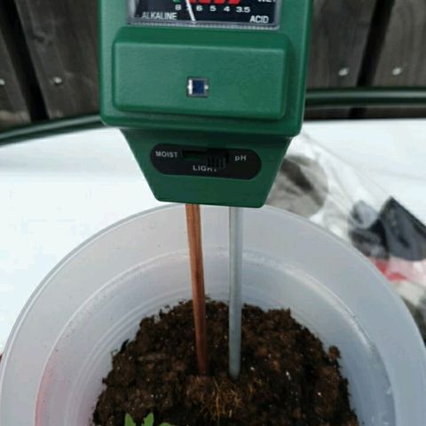 La nitt (amnesia XXL) growlog photo: Sur la photo extérieure, avec de l' eau du robinet. Ds le placard eau déminéralisée. Finalement on va ptetr rester sur celle du robinet.😬😬😬
