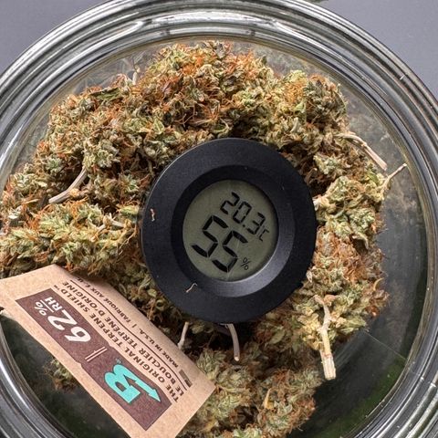 Cookies Gelato Auto #1 -41,5g growlog photo: vor dem lüften