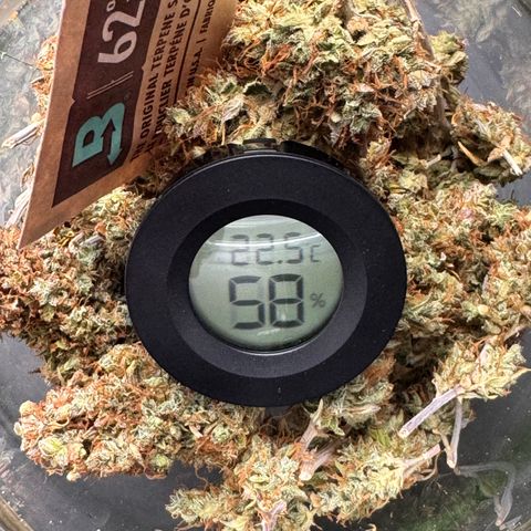 Cookies Gelato Auto #1 -41,5g growlog photo: vor dem lüften 