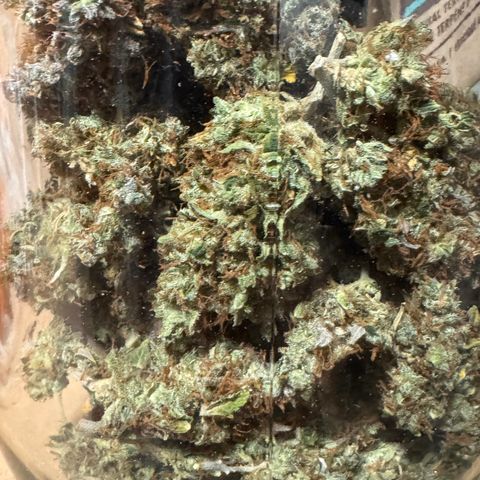 Cookies Gelato Auto #1 -41,5g growlog photo: 21:26
